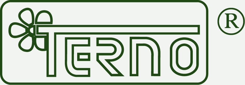 Terno
